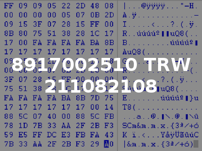 8917002510 TRW 211082108