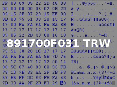 891700F031 TRW