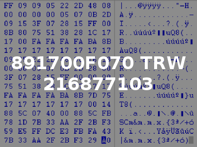 891700F070 TRW 216877103
