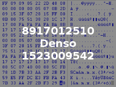 8917012510 Denso 1523009542