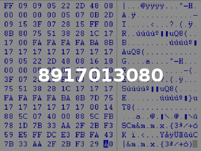 8917013080