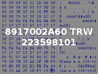 8917002A60 TRW 223598101
