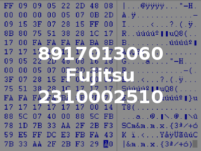 8917013060 Fujitsu 2310002510