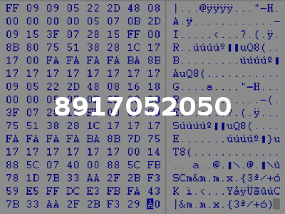 8917052050