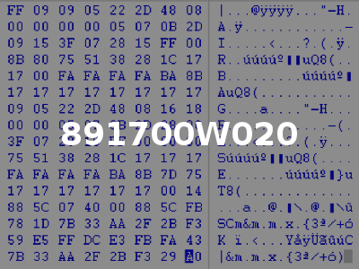 891700W020