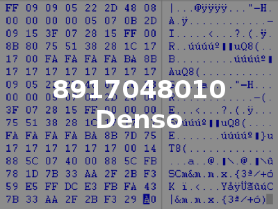 8917048010 Denso