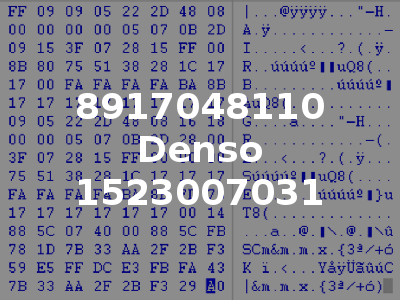 8917048110 Denso 1523007031