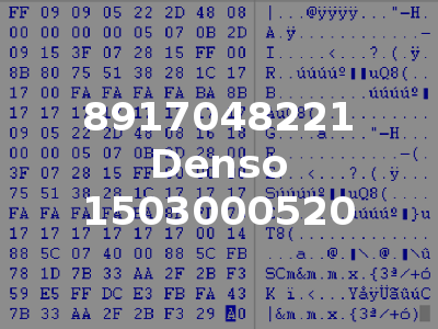 8917048221 Denso 1503000520