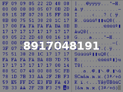 8917048191