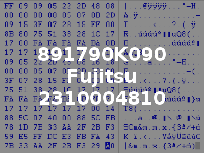891790K090 Fujitsu 2310004810