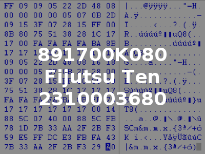 891700K080 Fijutsu Ten 2310003680