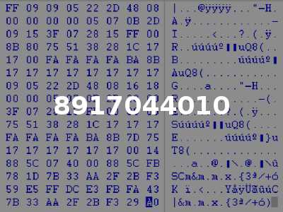 8917044010