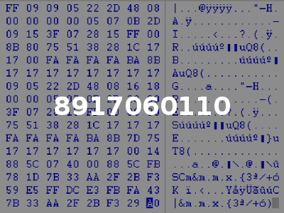 8917060110