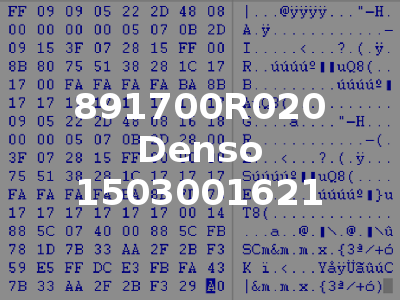 891700R020 Denso 1503001621