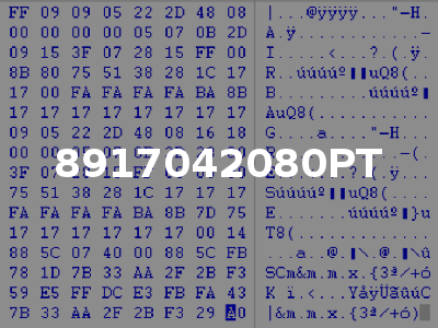 8917042080PT