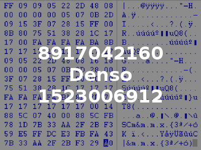 8917042160 Denso 1523006912