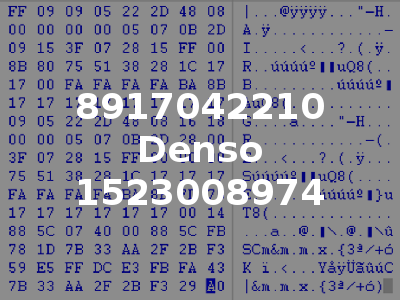 8917042210 Denso 1523008974