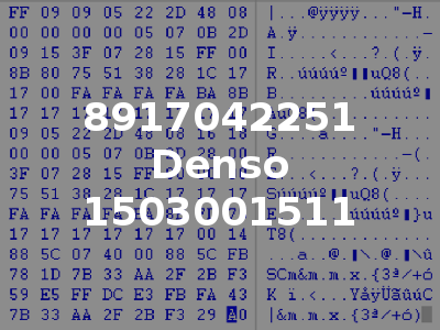 8917042251 Denso 1503001511