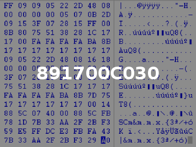 891700C030