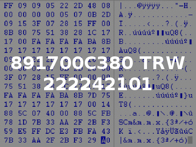 891700C380 TRW 222242101