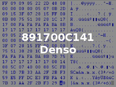 891700C141 Denso