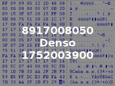8917008050 Denso 1752003900