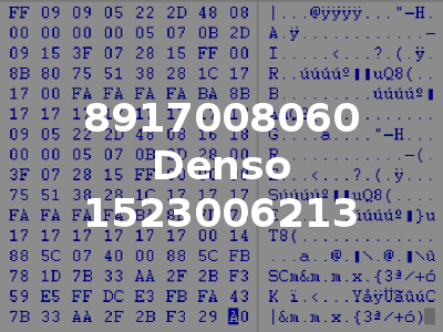 8917008060 Denso 1523006213