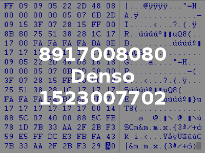 8917008080 Denso 1523007702