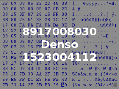 8917008030 Denso 1523004112