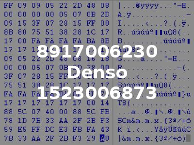 8917006230 Denso 1523006873
