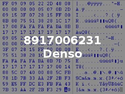 8917006231 Denso