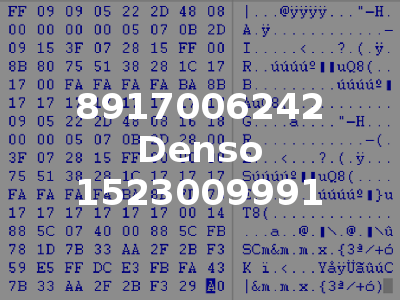 8917006242 Denso 1523009991
