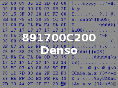891700C200 Denso