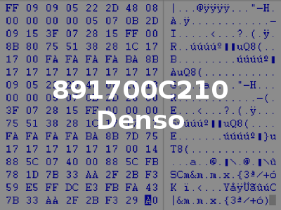 891700C210 Denso