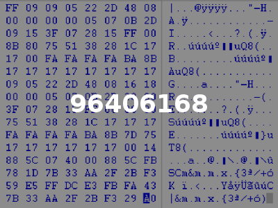 96406168