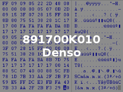 891700K010 Denso