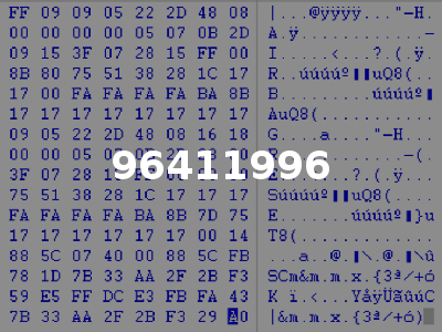 96411996