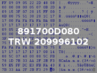 891700D080 TRW 209996102