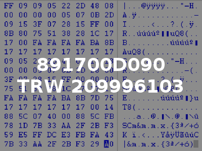 891700D090 TRW 209996103