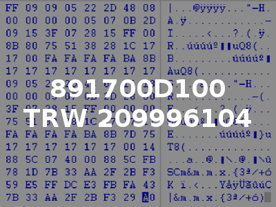 891700D100 TRW 209996104