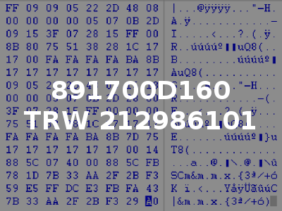 891700D160 TRW 212986101