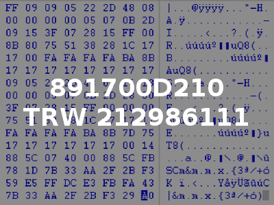 891700D210 TRW 212986111