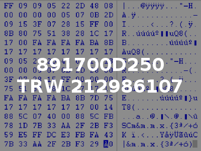 891700D250 TRW 212986107