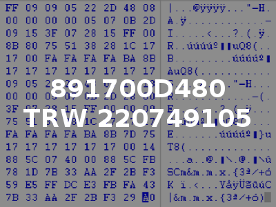 891700D480 TRW 220749105