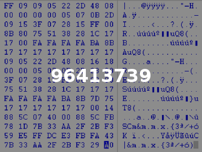96413739