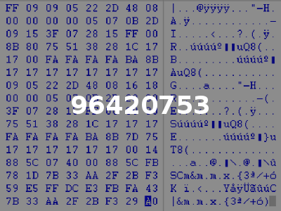 96420753