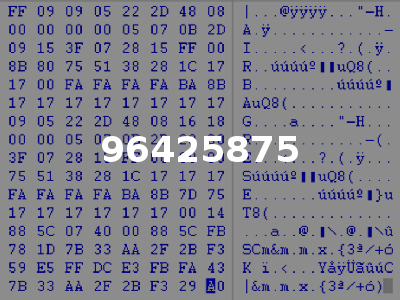 96425875