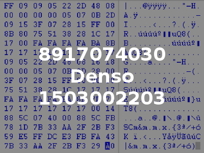 8917074030 Denso 1503002203