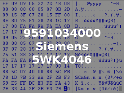 9591034000 Siemens 5WK4046