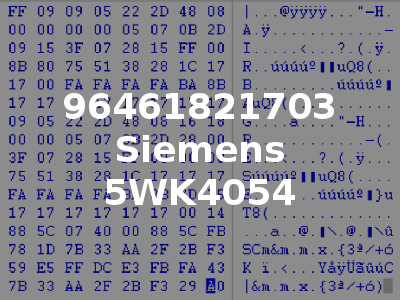 96461821703 Siemens 5WK4054